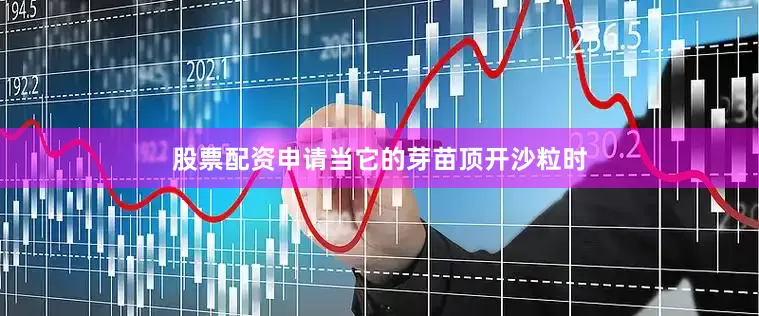 股票配资申请当它的芽苗顶开沙粒时