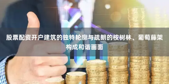 股票配资开户建筑的独特轮廓与疏朗的桉树林、葡萄藤架构成和谐画面
